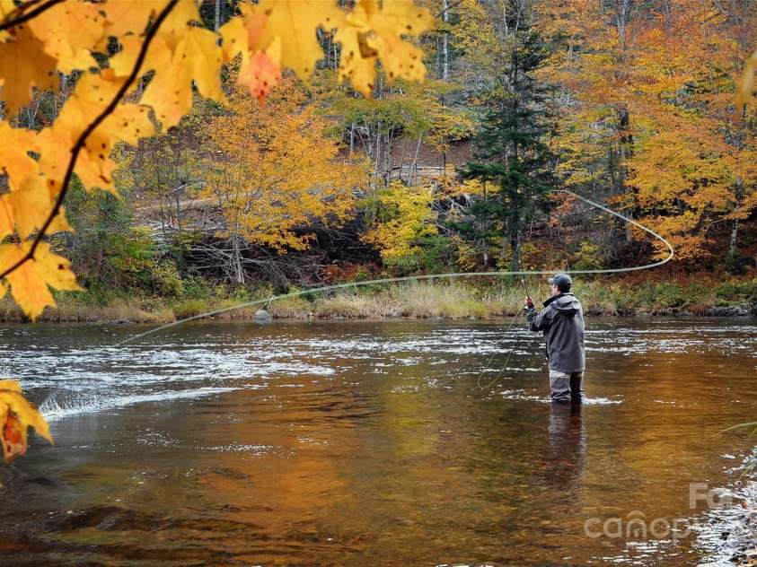 188 Cecil Miller Road, Boone, NC 28607.  MLS# CAR4284988, YatesRealty ID 28954. Area Fly Fishing!