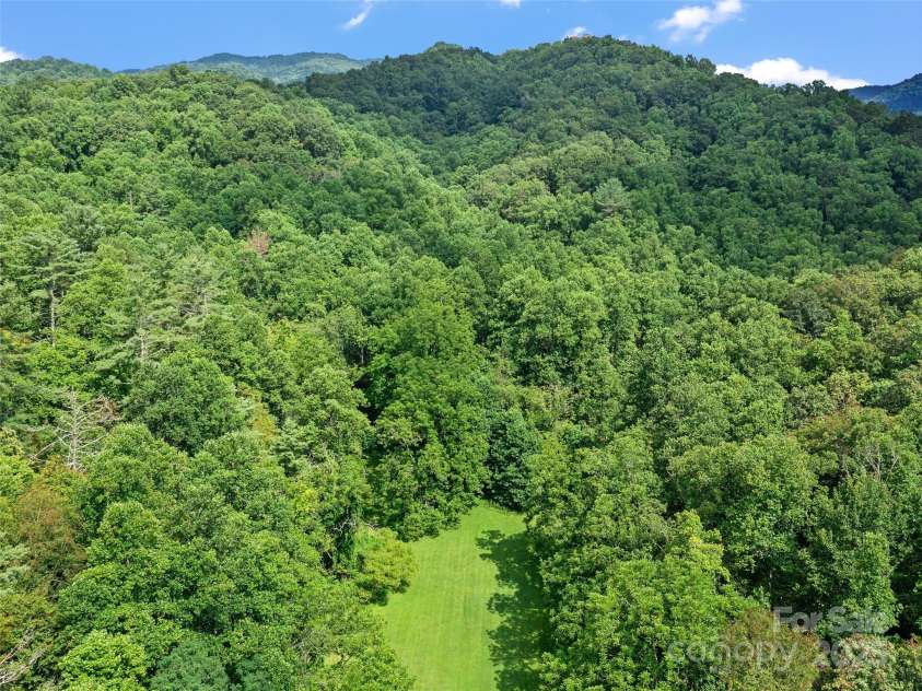 9065 NC 63 Highway, Leicester, NC 28748.  MLS# CAR4286038, YatesRealty ID 28957. 