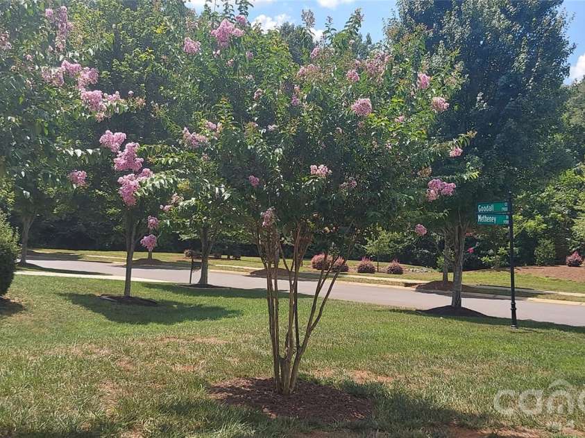 7928 Goodall Court, Mint Hill, NC 28227.  MLS# CAR4389237, YatesRealty ID 28959. 