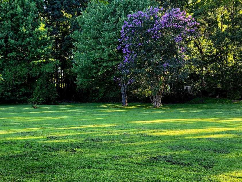 3538 Back Creek Church Road, Charlotte, NC 28213.  MLS# CAR4391030, YatesRealty ID 28961. 