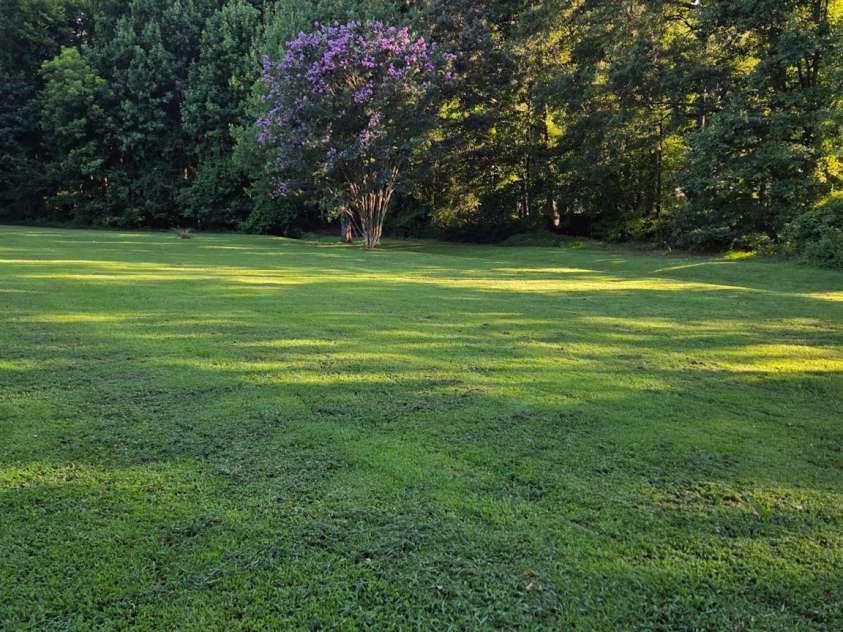 3538 Back Creek Church Road, Charlotte, NC 28213.  MLS# CAR4391030, YatesRealty ID 28961. 