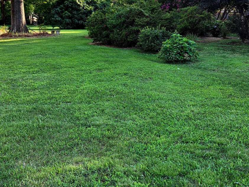 3538 Back Creek Church Road, Charlotte, NC 28213.  MLS# CAR4391030, YatesRealty ID 28961. 