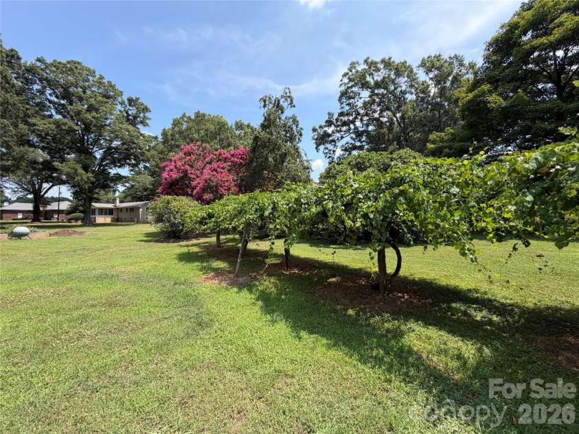 3538 Back Creek Church Road, Charlotte, NC 28213.  MLS# CAR4391030, YatesRealty ID 28961. 