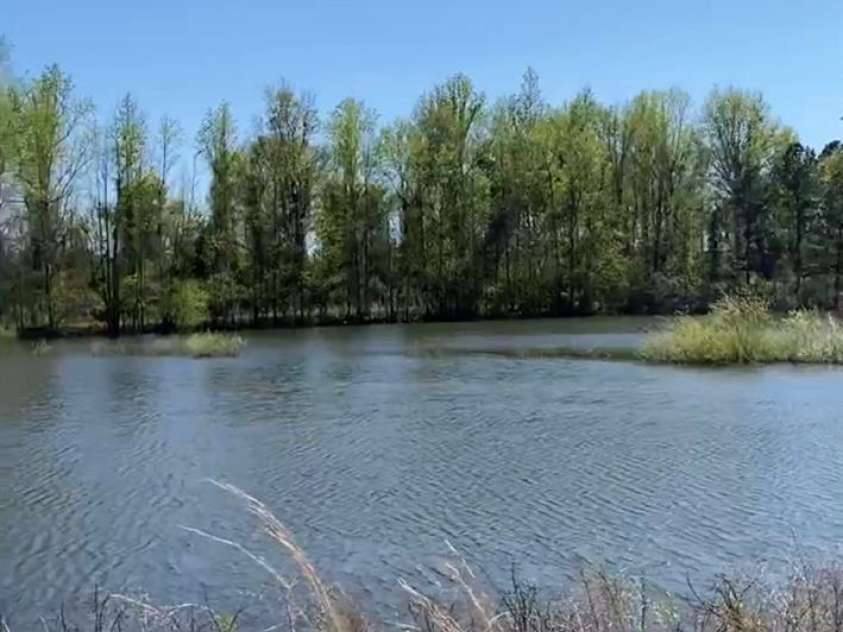 1824 Germantown Place, Dillon, SC 29536.  MLS# CAR4203328, YatesRealty ID 290. 