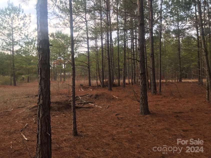 1824 Germantown Place, Dillon, SC 29536.  MLS# CAR4203328, YatesRealty ID 290. 