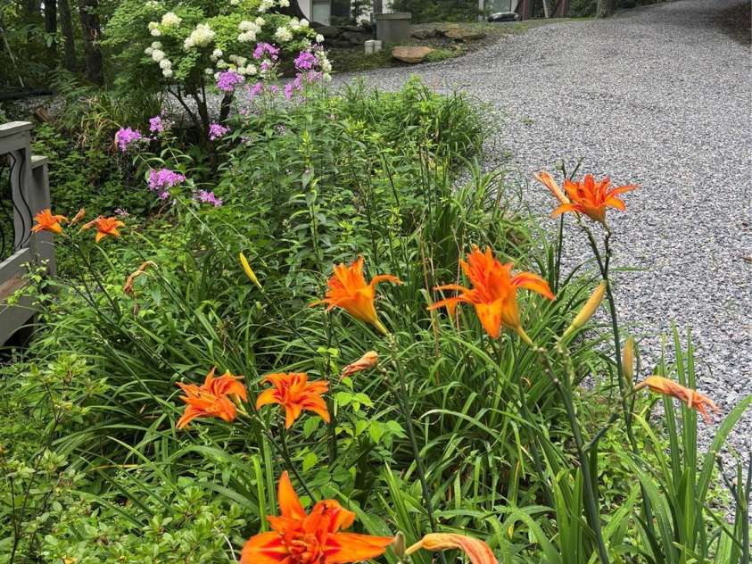 620 Glenview Road, Newland, NC 28657.  MLS# CAR4332877, YatesRealty ID 29044. Summer Flowers