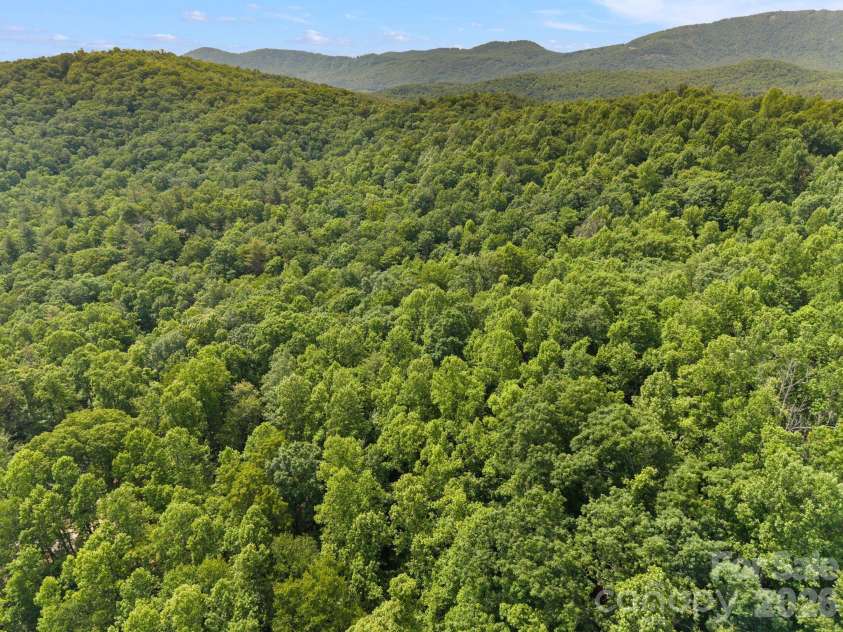 145 Hickory Tree Lane, Hendersonville, NC 28739.  MLS# CAR4386279, YatesRealty ID 29086. 