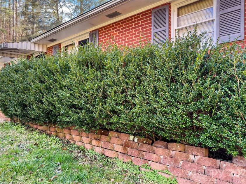 80 Robinson Holler Drive, Marion, NC 28752.  MLS# CAR4112689, YatesRealty ID 29090. Boxwood hedge.