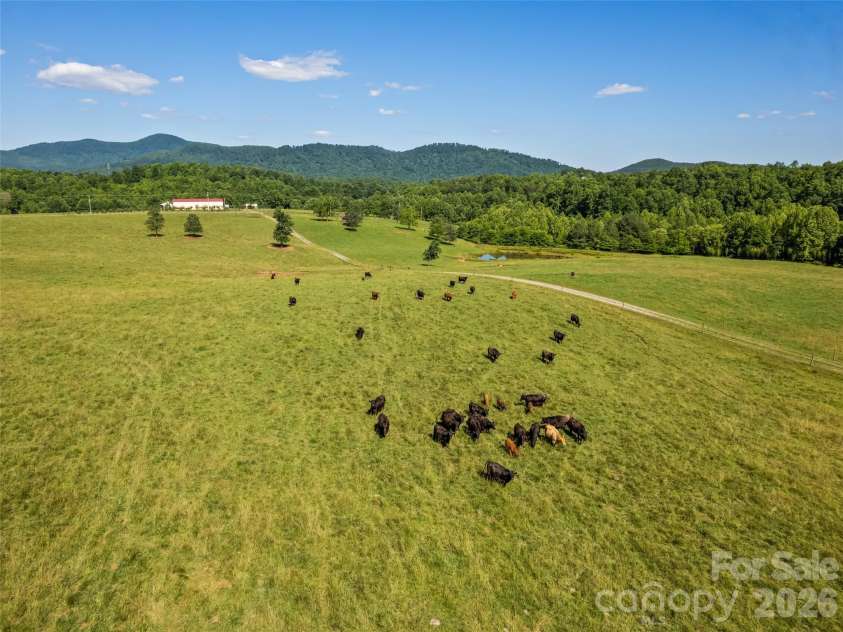 1418 Landis Lane, Nebo, NC 28761.  MLS# CAR4390696, YatesRealty ID 29091. 