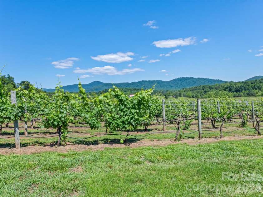 1418 Landis Lane, Nebo, NC 28761.  MLS# CAR4390696, YatesRealty ID 29091. 