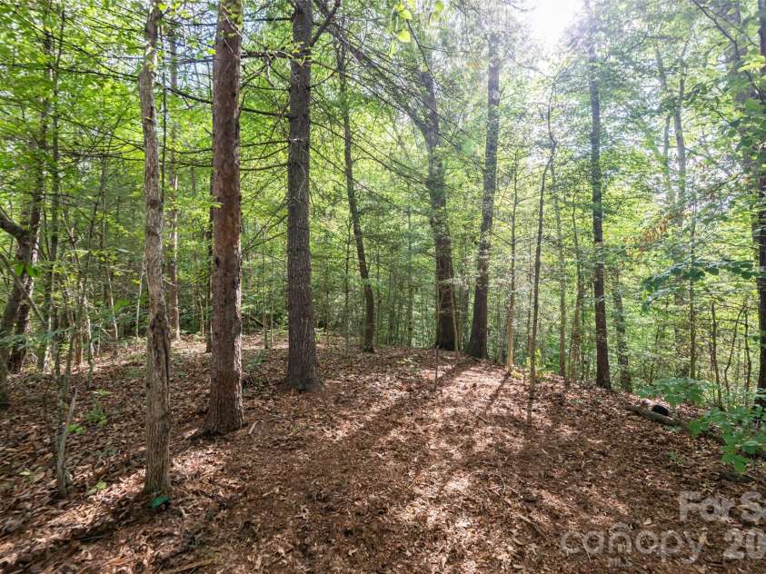 34 Wintercrest Drive, Candler, NC 28715.  MLS# CAR4387691, YatesRealty ID 29110. 