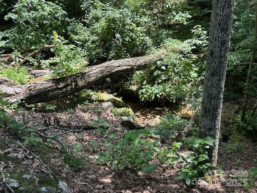 184 Poplar Drive, Lake Lure, NC 28746.  MLS# CAR4285241, YatesRealty ID 29166. Creek has flowing water, trickling sound