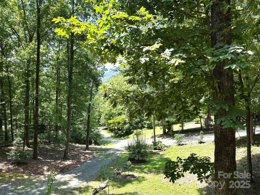 184 Poplar Drive, Lake Lure, NC 28746.  MLS# CAR4285241, YatesRealty ID 29166. Park like, tranquil setting among the trees