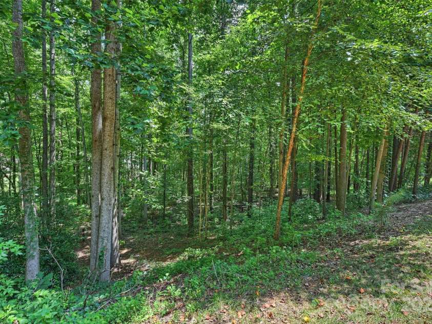139 Callicutt Trail, Mooresville, NC 28117.  MLS# CAR4281844, YatesRealty ID 29172. Wooded Backyard