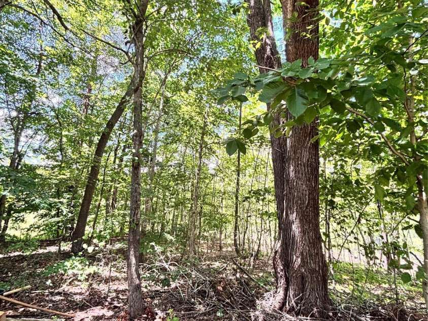 1890 Bud Tilley Road, Pinnacle, NC 27043.  MLS# CAR4276210, YatesRealty ID 29217. 