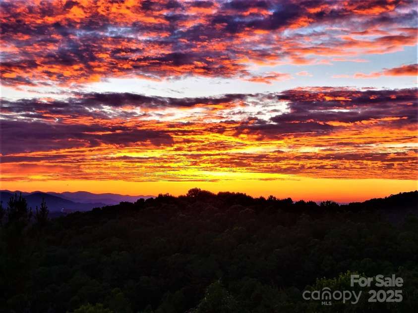 16 Skyview Court, Asheville, NC 28803.  MLS# CAR4274692, YatesRealty ID 29279. Living in 