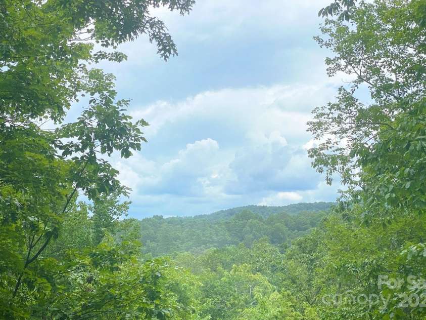 590 Raven Boulevard, Lake Lure, NC 28746.  MLS# CAR4283723, YatesRealty ID 29295. 