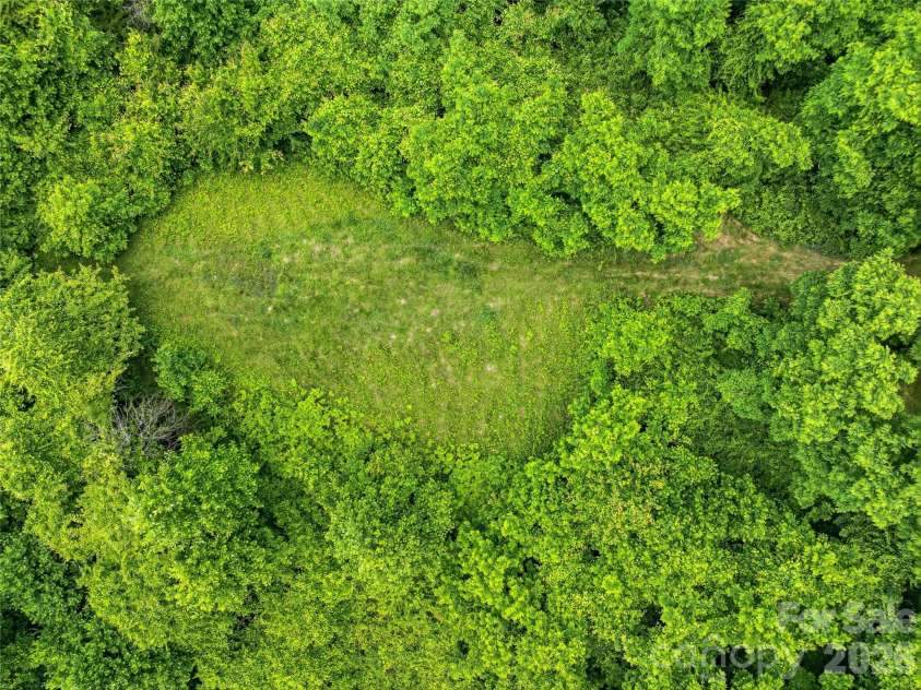 1877 Wilson Cove Road, Canton, NC 28716.  MLS# CAR4388095, YatesRealty ID 29313. Second potential build site!