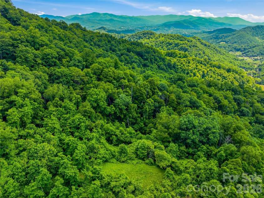 1877 Wilson Cove Road, Canton, NC 28716.  MLS# CAR4388095, YatesRealty ID 29313. Second potential build site!