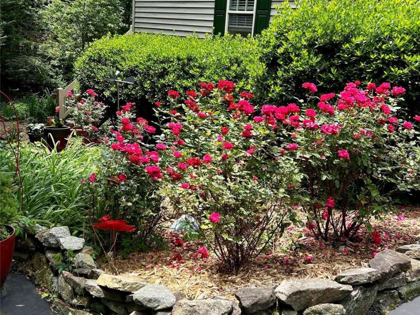 9 Tall Pines Road, Hendersonville, NC 28739.  MLS# CAR4390610, YatesRealty ID 29342. 