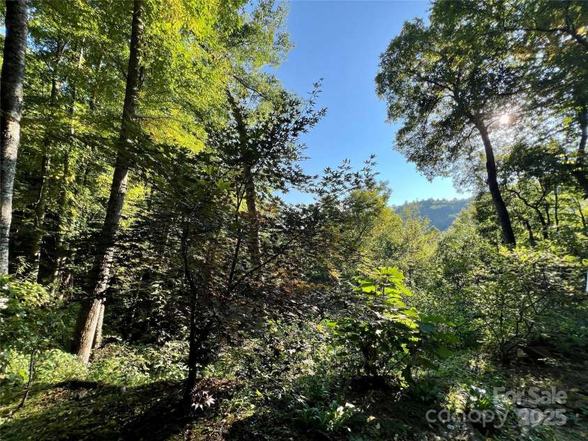 127 Whataview Drive, Whittier, NC 28789.  MLS# CAR4284864, YatesRealty ID 29368. 