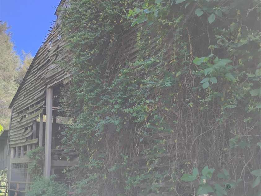 2950 Irish Potato Road, Concord, NC 28025.  MLS# CAR4386914, YatesRealty ID 29477. 