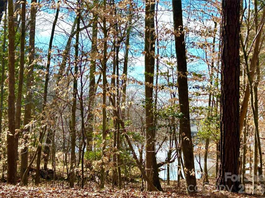 129 Water Oak Way, Mount Gilead, NC 27306.  MLS# CAR4351475, YatesRealty ID 2955. 