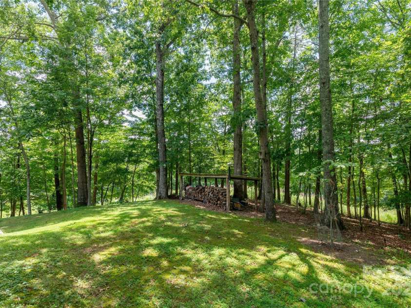 230 Foxwood Drive, Hendersonville, NC 28791.  MLS# CAR4255865, YatesRealty ID 29566. Private side yard with wood shed