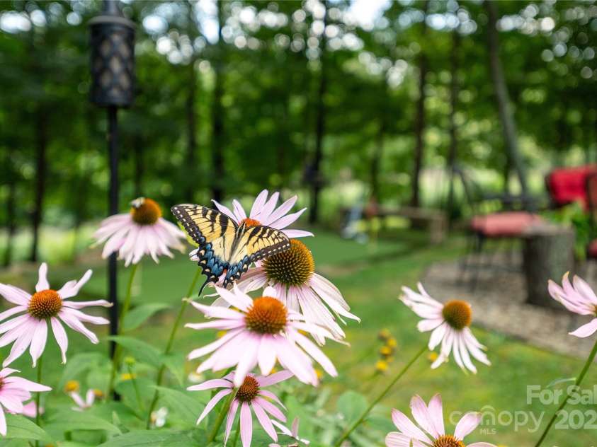 230 Foxwood Drive, Hendersonville, NC 28791.  MLS# CAR4255865, YatesRealty ID 29566. Yard full of perennials