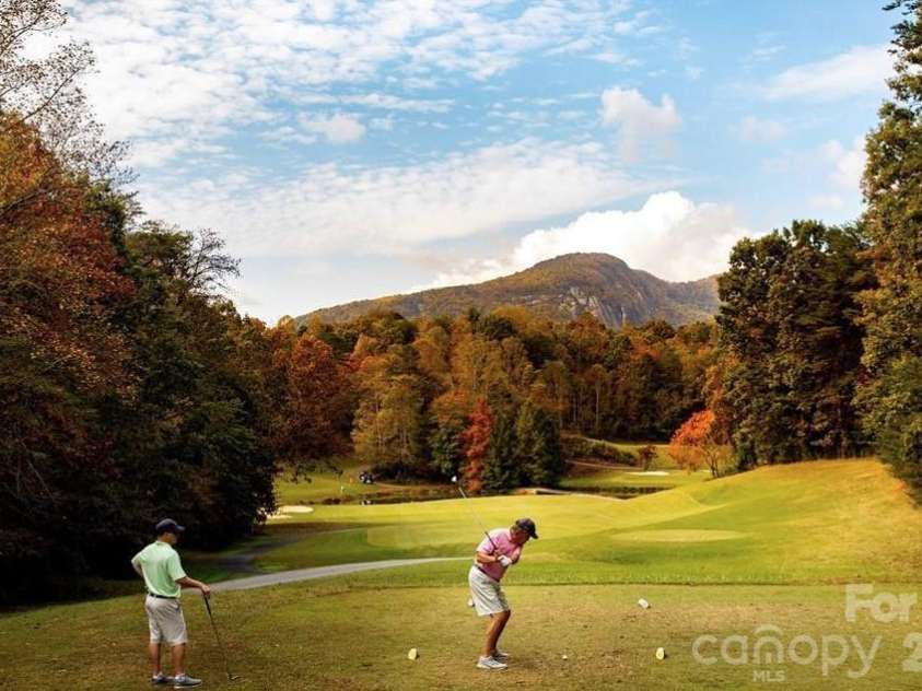 231 Blue Bird Road, Lake Lure, NC 28746.  MLS# CAR4384888, YatesRealty ID 29626. 
