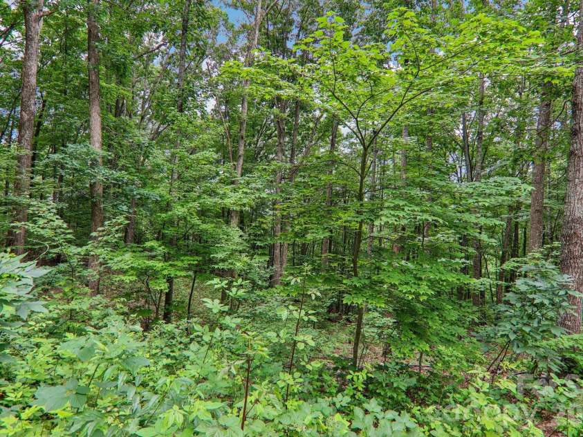 49 Wilderness Trail, Candler, NC 28715.  MLS# CAR4391801, YatesRealty ID 29657. 