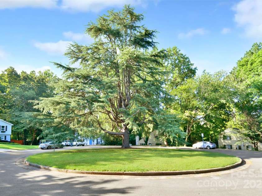4014 Larkspur Lane, Charlotte, NC 28205.  MLS# CAR4287638, YatesRealty ID 29665. 