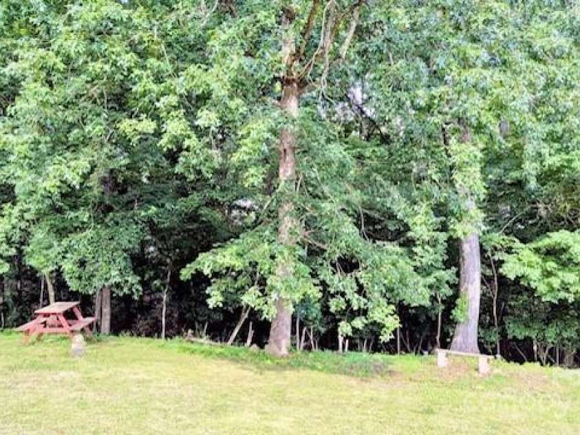 7133 Tall Tree Lane, Charlotte, NC 28214.  MLS# CAR4264939, YatesRealty ID 29668. 