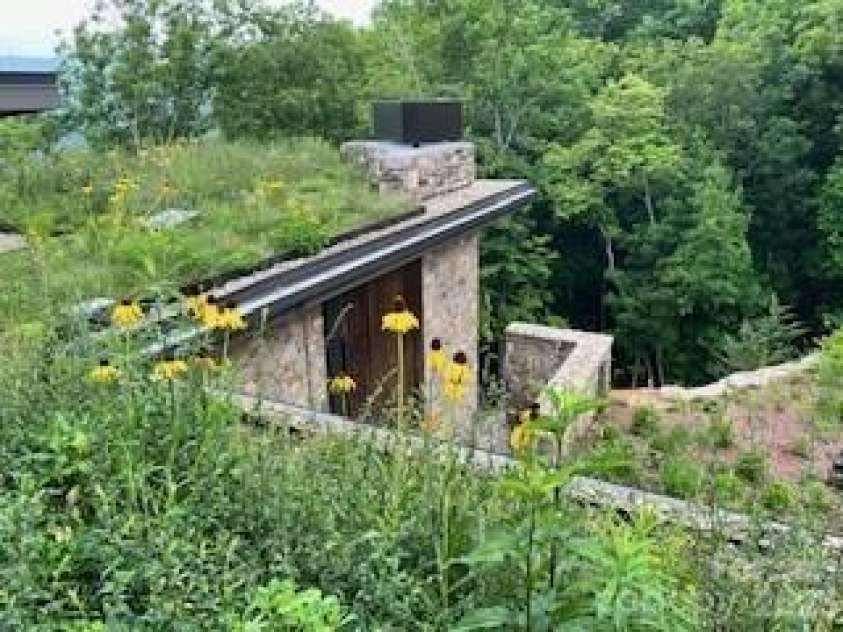 112 Moon Shadow Lane, Marshall, NC 28753.  MLS# CAR4332984, YatesRealty ID 2969. The Living Roof in bloom!