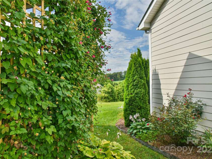 35 Dreambird Drive, Leicester, NC 28748.  MLS# CAR4281795, YatesRealty ID 29701. Side Trellis
