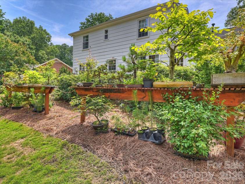 3731 Ashton Drive, Charlotte, NC 28210.  MLS# CAR4391507, YatesRealty ID 29710. Backyard
