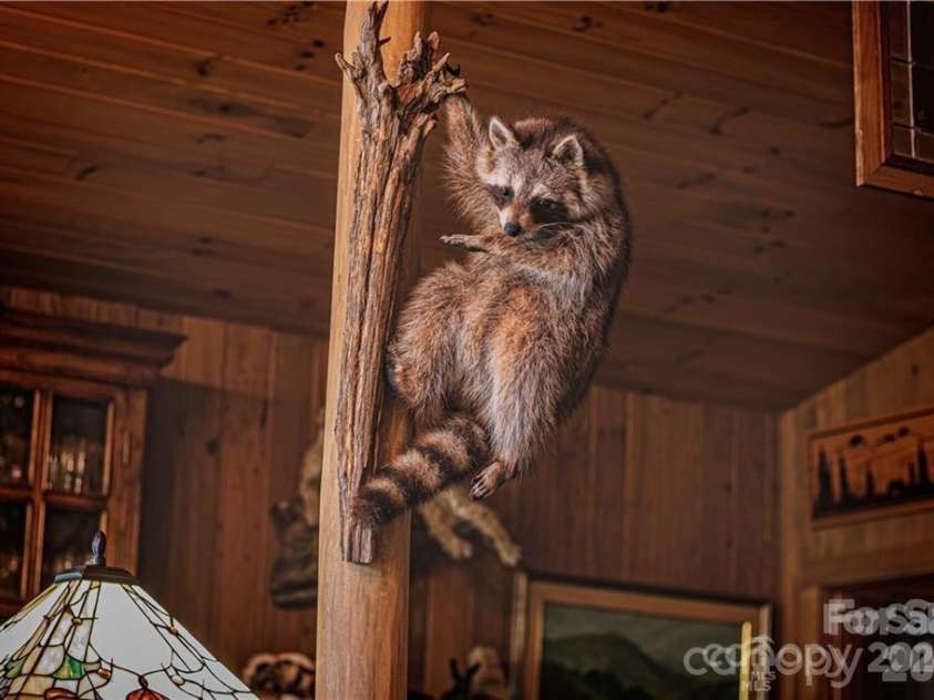 2736 White Oak Flats Road, Green Mountain, NC 28740.  MLS# CAR4327209, YatesRealty ID 2972. 