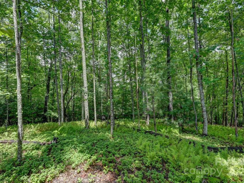 234 Lobdell Road, Pisgah Forest, NC 28768.  MLS# CAR4273065, YatesRealty ID 29764. 