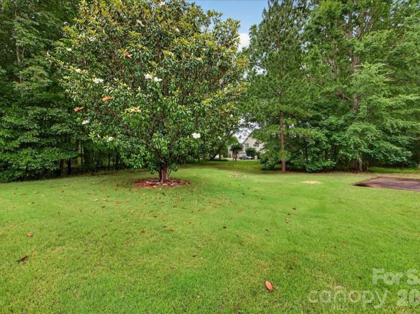 10604 Knight Castle Drive, Charlotte, NC 28277.  MLS# CAR4392146, YatesRealty ID 29768. Backyard