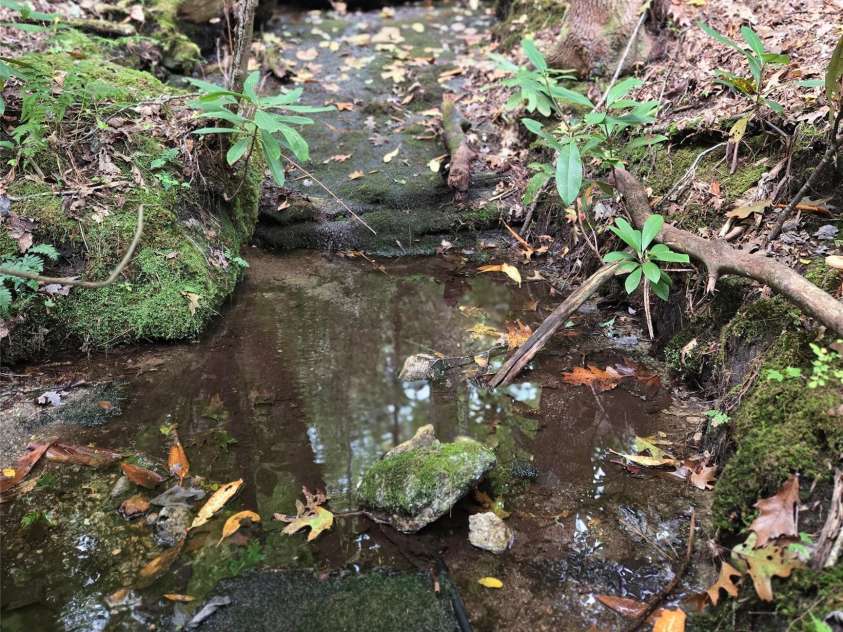 557 Country Club Estates Drive, Sapphire, NC 28774.  MLS# CAR4302980, YatesRealty ID 2977. Small spring run flows on the north side of the back yard and forms small pools along the way.