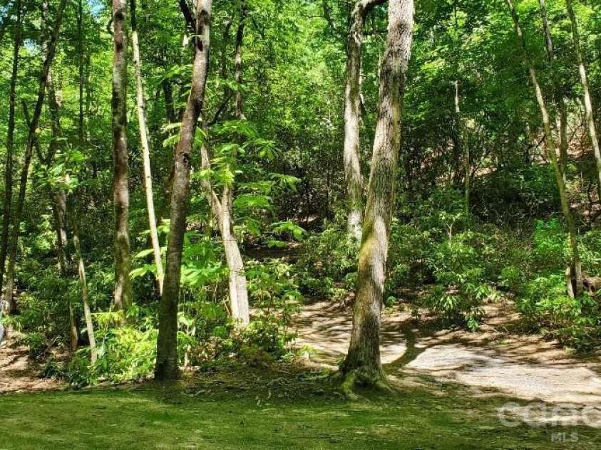 51 Bird Creek Estates Road, Black Mountain, NC 28711.  MLS# CAR4392625, YatesRealty ID 29791. 