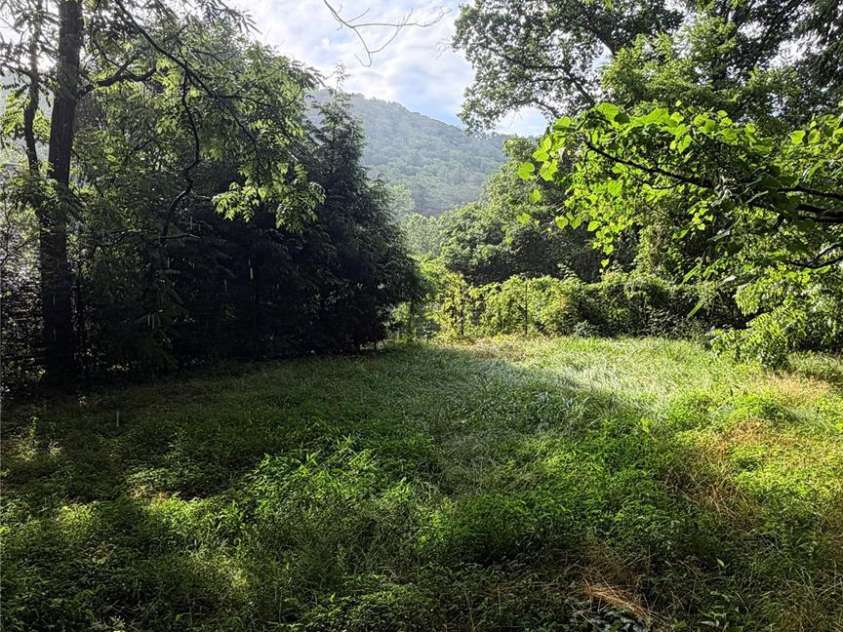 20 Utopia Road, Asheville, NC 28805.  MLS# CAR4392842, YatesRealty ID 29827. 