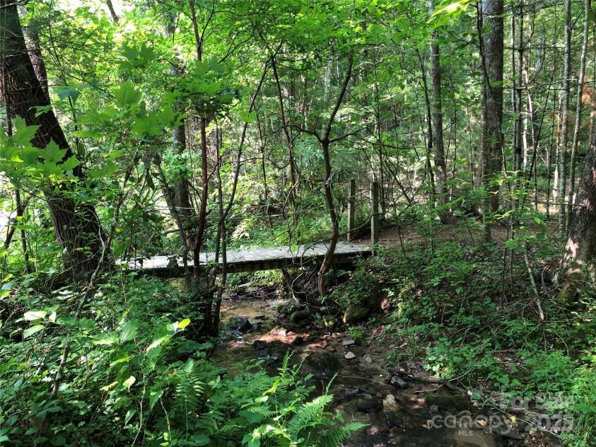 1158 Staghorn Road, Purlear, NC 28665.  MLS# CAR4210879, YatesRealty ID 2985. One of the scenic hiking trails within the Buck Mountain Community