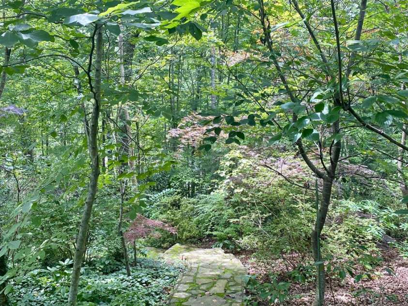 163 Gypsy Mountain Road, Marion, NC 28752.  MLS# CAR4287037, YatesRealty ID 29871. Pathway leading to office building.