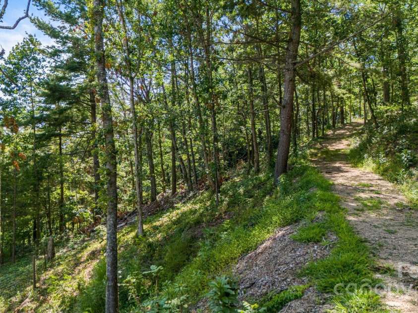 92 Hamburg Mountain Road, Weaverville, NC 28787.  MLS# CAR4285985, YatesRealty ID 29895. Trails