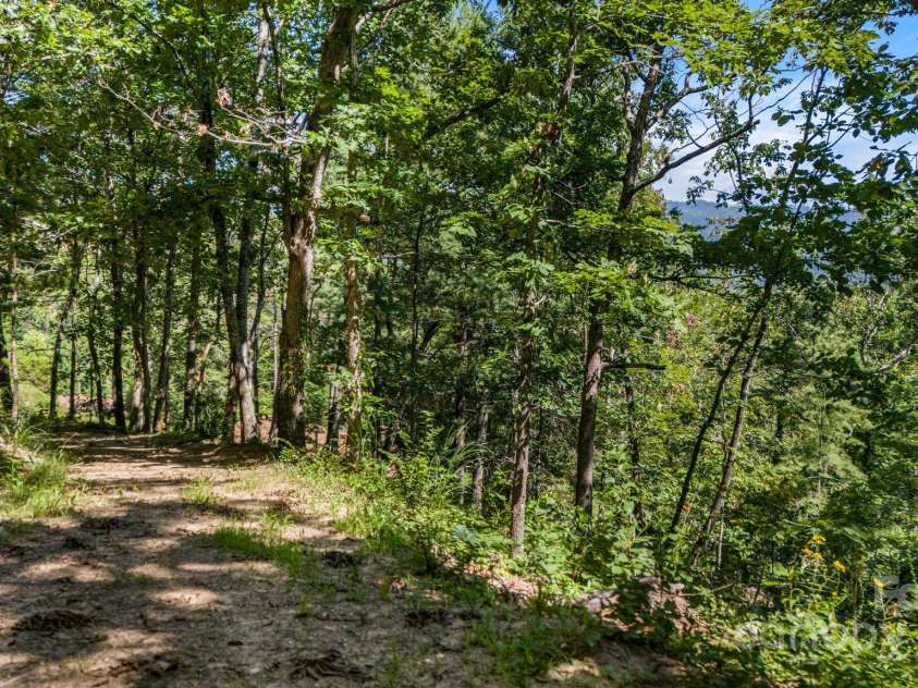 92 Hamburg Mountain Road, Weaverville, NC 28787.  MLS# CAR4285985, YatesRealty ID 29895. Trails