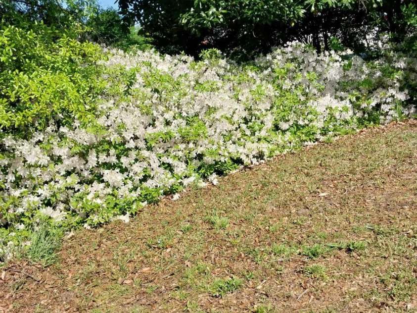 5987 Charlotte Highway, Lancaster, SC 29720.  MLS# CAR4308320, YatesRealty ID 299. 