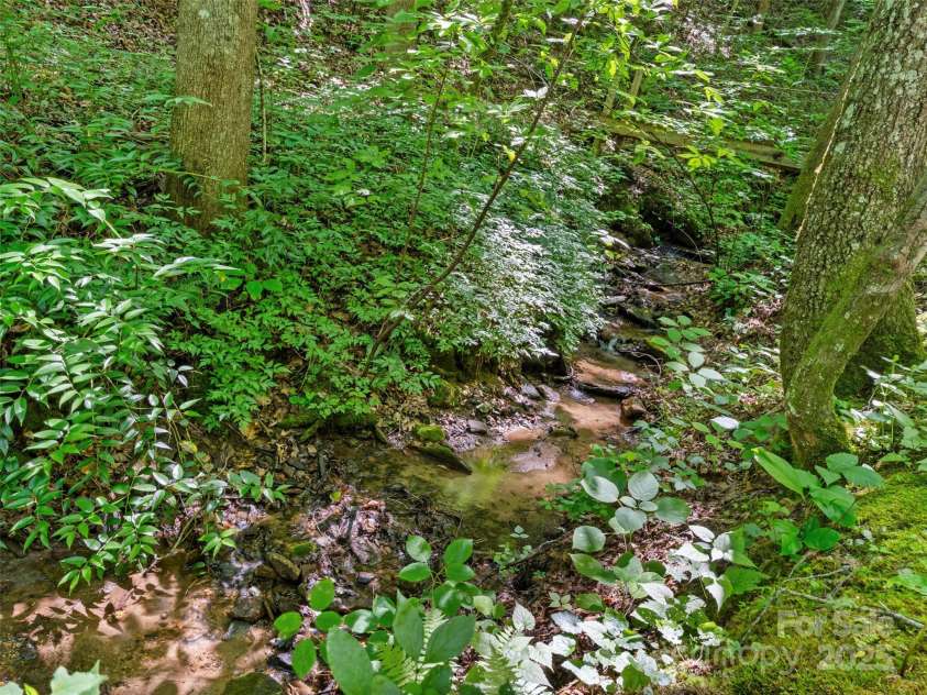 755 Pearson Falls Road, Saluda, NC 28773.  MLS# CAR4279313, YatesRealty ID 29902. 