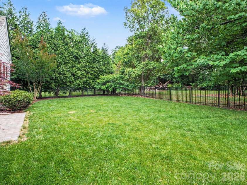 1020 Sharon Amity Road, Charlotte, NC 28211.  MLS# CAR4385518, YatesRealty ID 29929. Backyard