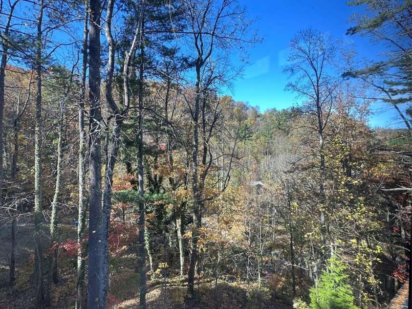 42 Spring Cove Road, Asheville, NC 28804.  MLS# CAR4246585, YatesRealty ID 29948. One of many incredible vistas for you to enjoy.